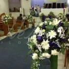 La imagen 8 de la Empresa FLORERÍA HELEN en San Francisco De Campeche CAM