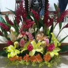 La imagen 1 de la Empresa FLORERÍA ORQUÍDEA PARRAL Industrias y Agricultura en Parral CHH