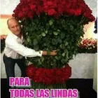 La imagen 2 de la Empresa FLORES Y REGALOS ALAMEDA Industrias y Agricultura en Toluca De Lerdo MEX