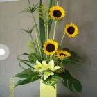 La imagen 3 de la Empresa FLORES Y REGALOS ALAMEDA Industrias y Agricultura en Toluca De Lerdo MEX