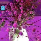 La imagen 1 de la Empresa FOTO Y VIDEO PARA BODAS MONTERREY Servicios Profesionales y de Negocios en Monterrey NLE