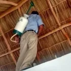 La imagen 2 de la Empresa FUMIGACIONES GDL ZONA PACÍFICO Servicios Profesionales y de Negocios en Bucerías NAY