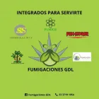 La imagen 1 de la Empresa FUMIGACIONES GDL Servicios Profesionales y de Negocios en Guadalajara JAL