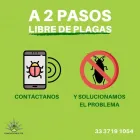 La imagen 2 de la Empresa FUMIGACIONES GDL Servicios Profesionales y de Negocios en Guadalajara JAL