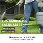 La imagen 3 de la Empresa FUMIGACIONES GDL Servicios Profesionales y de Negocios en Guadalajara JAL