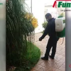 La imagen 2 de la Empresa FUMIPLAGAS Servicios Profesionales y de Negocios en Culiacán SIN