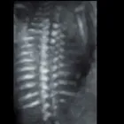 La imagen 9 de la Empresa GABINETE DE RADIOLOGIA Y ULTRASONIDO SAN CRISTOBAL Salud y Medicina en Mérida YUC