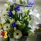 La imagen 27 de la Empresa GALERIA FLORAL Industrias y Agricultura en Querétaro QUE