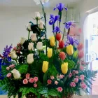 La imagen 38 de la Empresa GALERIA FLORAL Industrias y Agricultura en Querétaro QUE