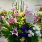 La imagen 50 de la Empresa GALERIA FLORAL Industrias y Agricultura en Querétaro QUE