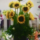 La imagen 60 de la Empresa GALERIA FLORAL Industrias y Agricultura en Querétaro QUE