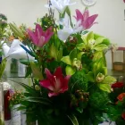 La imagen 63 de la Empresa GALERIA FLORAL Industrias y Agricultura en Querétaro QUE