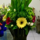 La imagen 76 de la Empresa GALERIA FLORAL Industrias y Agricultura en Querétaro QUE