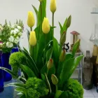 La imagen 78 de la Empresa GALERIA FLORAL Industrias y Agricultura en Querétaro QUE