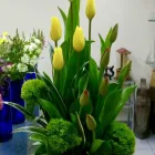 La imagen 79 de la Empresa GALERIA FLORAL Industrias y Agricultura en Querétaro QUE