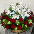 La imagen 98 de la Empresa GALERIA FLORAL Industrias y Agricultura en Querétaro QUE