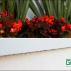 La imagen 2 de la Empresa GOTERONES GMX en Apodaca NLE