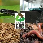 La imagen 4 de la Empresa GRUPO GAP RECICLAJE ORGÁNICO Servicios Profesionales y de Negocios en San Pedro Garza García NLE
