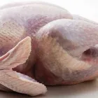 La imagen 2 de la Empresa GRUPO SOCODICA Elaboración y Venta de Carne en Ciudad Del Carmen CAM