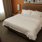 La imagen 26 de la Empresa HAMPTON INN BY HILTON IRAPUATO Transportes y Turismo en Irapuato GUA