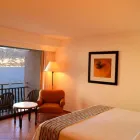 La imagen 37 de la Empresa HOLIDAY INN RESORT ACAPULCO Transportes y Turismo en Acapulco GRO