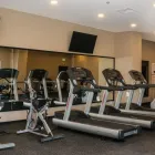 La imagen 3 de la Empresa HOLIDAY INN SAN LUIS POTOSI-QUIJOTE Transportes y Turismo en San Luis Potosí SLP