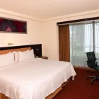 La imagen 23 de la Empresa HOLIDAY INN SAN LUIS POTOSI-QUIJOTE Transportes y Turismo en San Luis Potosí SLP
