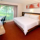 La imagen 124 de la Empresa HOLIDAY INN SAN LUIS POTOSI-QUIJOTE Transportes y Turismo en San Luis Potosí SLP