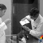 La imagen 3 de la Empresa HOSPITAL VETERINARIO ESPECIALIDAD GARSA Salud y Medicina en Apizaco TLA
