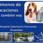 La imagen 2 de la Empresa HOSPITAL VETERINARIO PENINSULAR Salud y Medicina en Mérida YUC