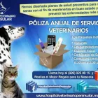 La imagen 3 de la Empresa HOSPITAL VETERINARIO PENINSULAR Salud y Medicina en Mérida YUC