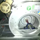 La imagen 2 de la Empresa IMAR MAINTENANCE Servicios Profesionales y de Negocios en Distrito Federal MEX