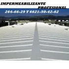 La imagen 3 de la Empresa IMPERMEABILIZANTE PROFESIONAL Inmobiliaria y Reformas en Hermosillo SON