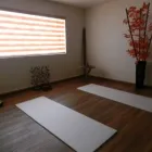 La imagen 2 de la Empresa INSTITUTO DE PSICOTERAPIA Y SALUD INTEGRAL Salud y Medicina en Pachuca De Soto HID