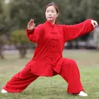 La imagen 2 de la Empresa INSTITUTO MEXICANO DE KUNG FU Enseñanza de artes marciales en Ciudad De México CMX