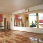La imagen 4 de la Empresa INSTITUTO MEXICANO DE KUNG FU Enseñanza de artes marciales en Ciudad De México CMX