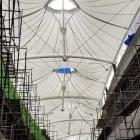 La imagen 4 de la Empresa ISOLUCIONESM360 Servicios Profesionales y de Negocios en Guadalajara JAL