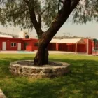 La imagen 15 de la Empresa JARDÍN DE FIESTAS, EVAN KIDS WORLD Organización y Realización de Fiestas y Eventos en Querétaro QUE