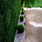 La imagen 2 de la Empresa JARDINERÍA VIVEROS XOCHIMILCO Servicios Profesionales y de Negocios en Mexico CMX