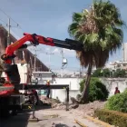 La imagen 3 de la Empresa JARDINEROS ANDAMAXEI Sistemas y Equipos de Riego en Querétaro QUE