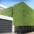 La imagen 1 de la Empresa JARDINEROS DECORADORES DE XOCHIMILCO Servicios Profesionales y de Negocios en Mexico CMX