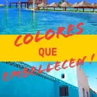 La imagen 5 de la Empresa LA CASA DEL PINTOR DE YUCATÁN Servicios Profesionales y de Negocios en Mérida YUC