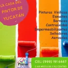 La imagen 6 de la Empresa LA CASA DEL PINTOR DE YUCATÁN Servicios Profesionales y de Negocios en Mérida YUC