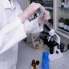 La imagen 3 de la Empresa LABORATORIO MADERO Salud y Medicina en Uruapan MIC