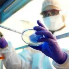 La imagen 2 de la Empresa LAPI LABORATORIO MÉDICO SUC. BALBUENA Salud y Medicina en Mexico CMX