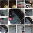 La imagen 2 de la Empresa LIMPIEZA DE TINACOS Y CISTERNAS XNAL Servicios Profesionales y de Negocios en Mexico CMX