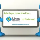La imagen 9 de la Empresa LINKS MANAGEMENT Servicios Profesionales y de Negocios en Tijuana BCN
