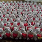 La imagen 1 de la Empresa LOS PELUCHES Muebles y accesorios escolares en Ciudad De México CMX