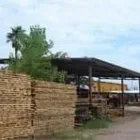 La imagen 3 de la Empresa MADERERIA EL ARBOLITO ASERRADERO Servicios Profesionales y de Negocios en Chihuahua MEX