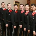 La imagen 1 de la Empresa MARIACHI AAY, AAY, AAY ! Grupos e Instrumentos Musicales en Guadalajara JAL